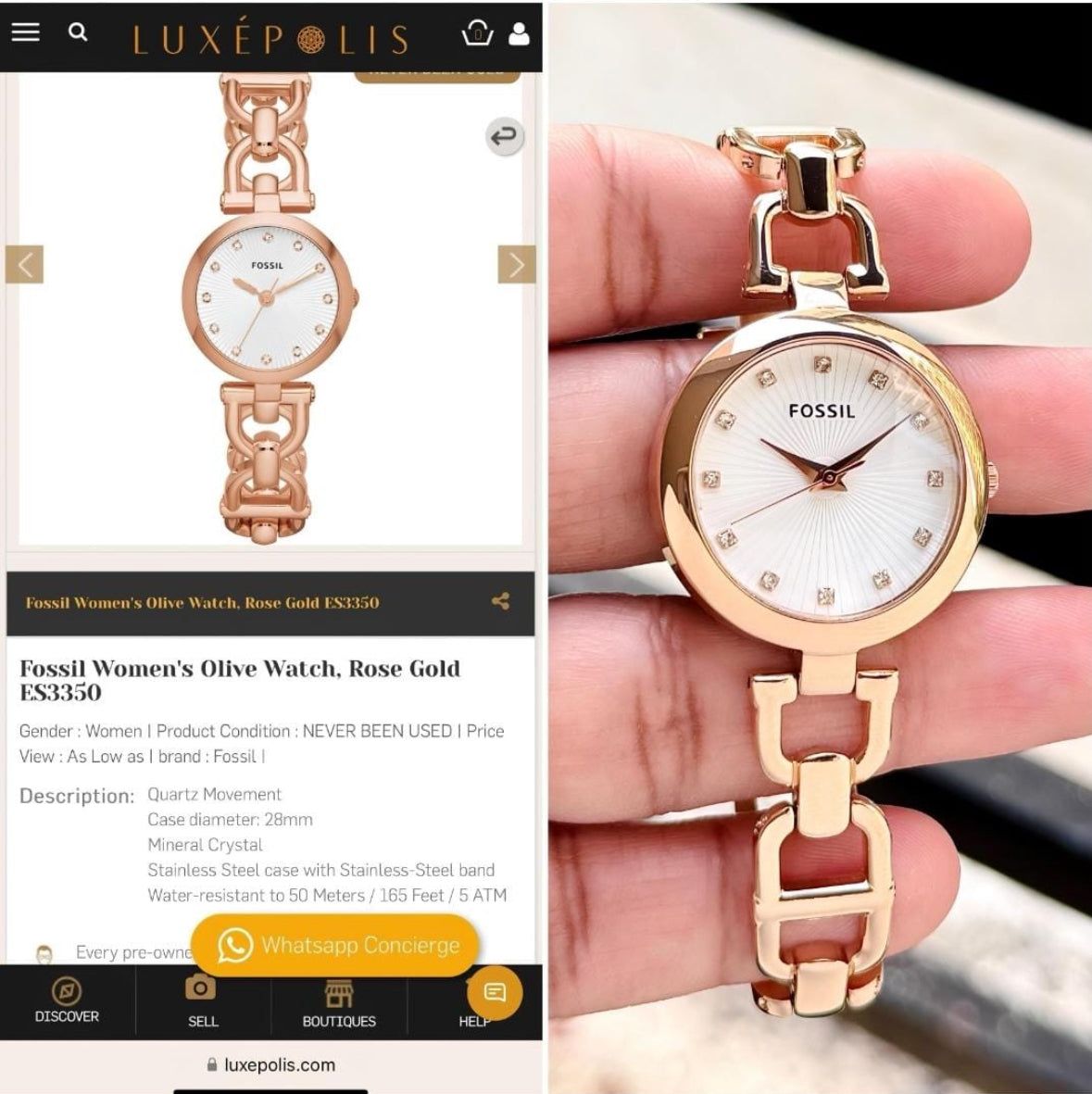 Fossil Olive Collection White Rosegold  ✨♥️